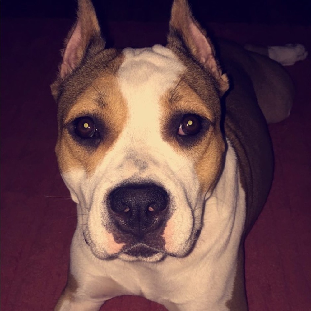 Meet your Posher, Quinn.